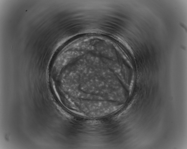 X0000091011037200708301353