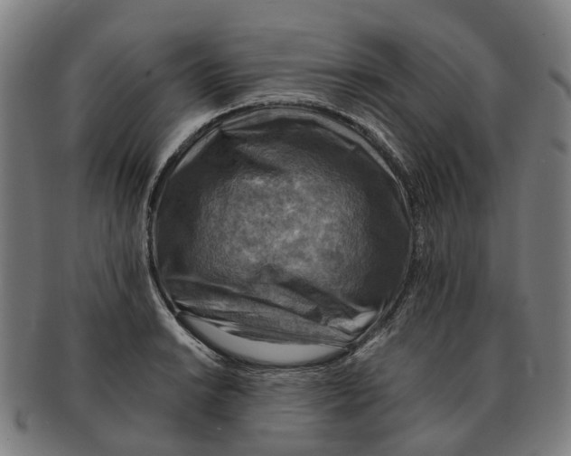 X0000091011038200708301353