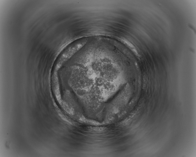 X0000091011039200708301353