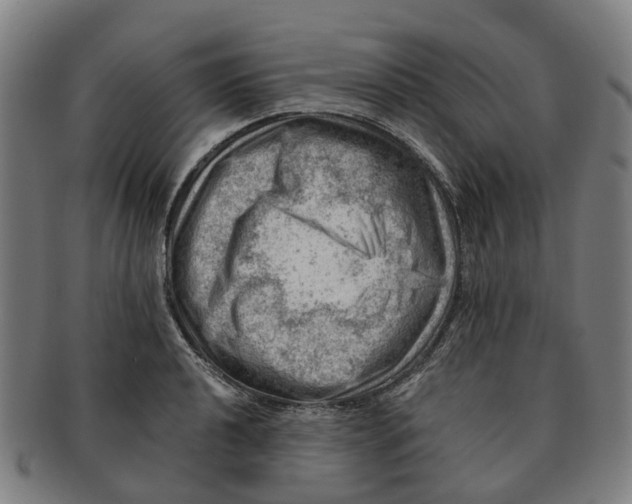 X0000091011040200708301353