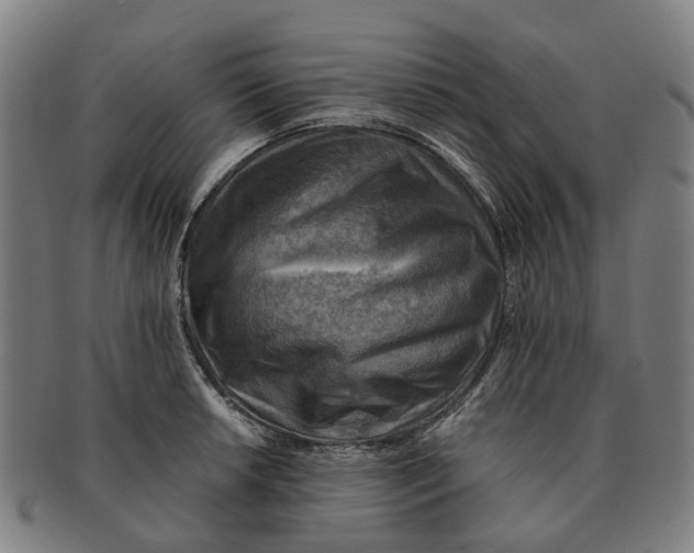 X0000091011042200708301353