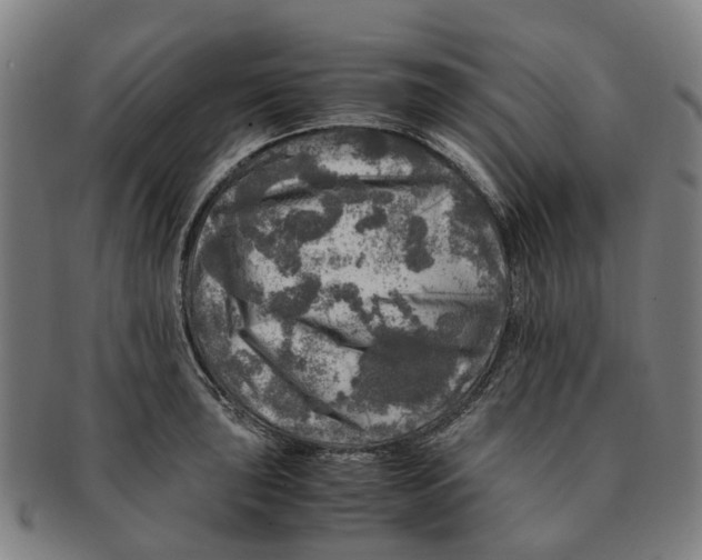 X0000091011043200708301353