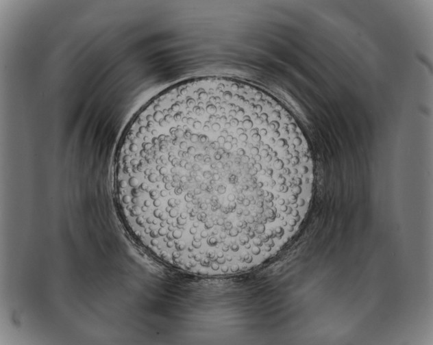 X0000091011044200708301353