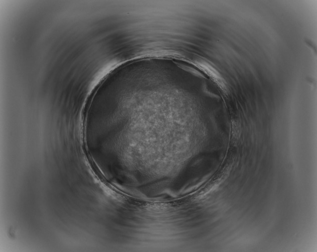 X0000091011046200708301353