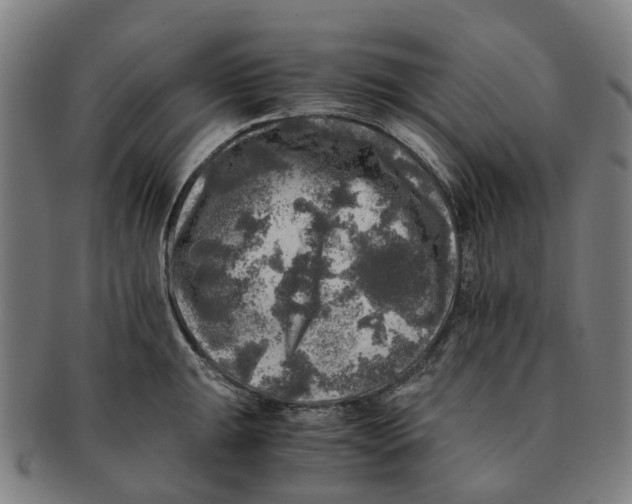 X0000091011047200708301353