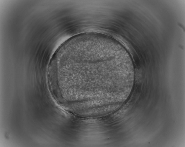 X0000091011048200708301353