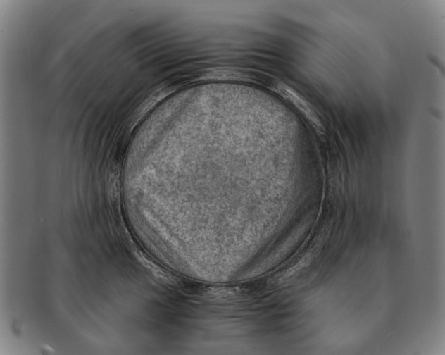 X0000091011049200708301353