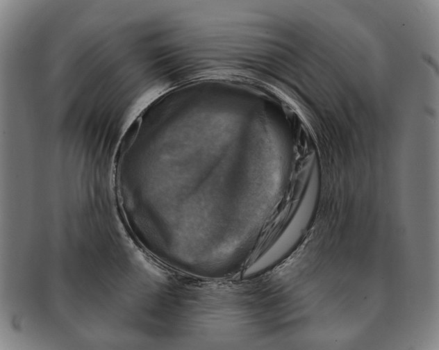 X0000091011050200708301353