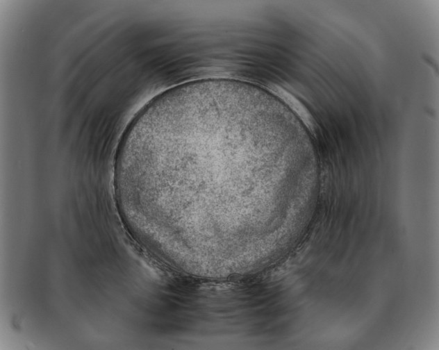 X0000091011051200708301353