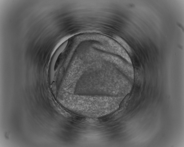 X0000091011052200708301353