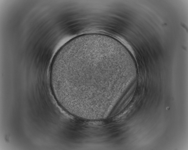 X0000091011053200708301353