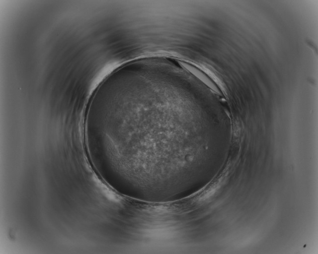 X0000091011054200708301353