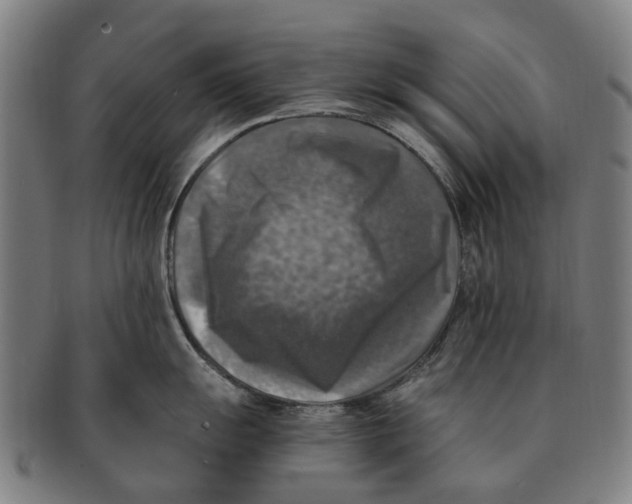 X0000091011055200708301353