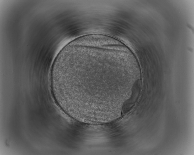 X0000091011056200708301353