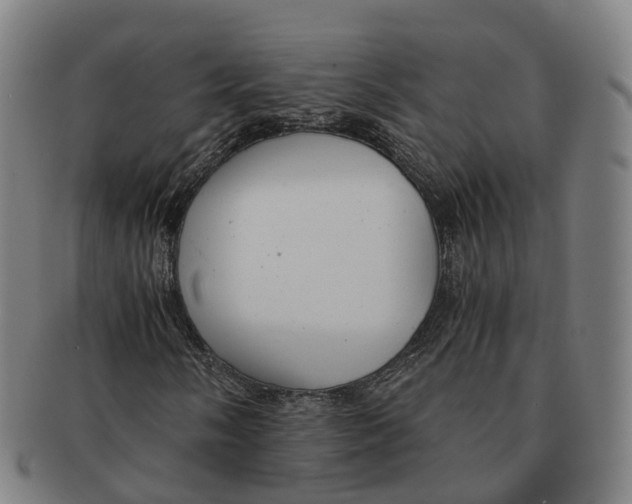 X0000091011058200708301352