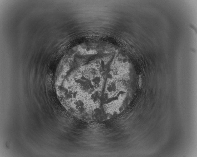 X0000091011059200708301352