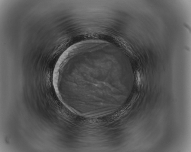 X0000091011060200708301352