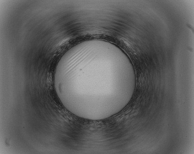 X0000091011062200708301352