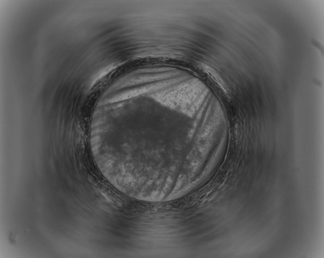 X0000091011064200708301352