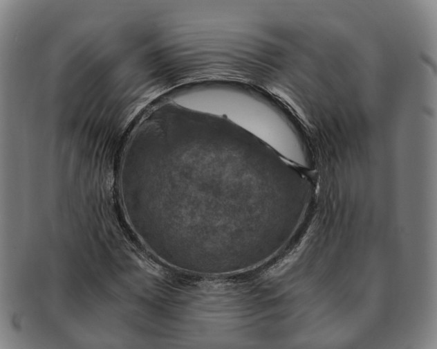 X0000091011065200708301352