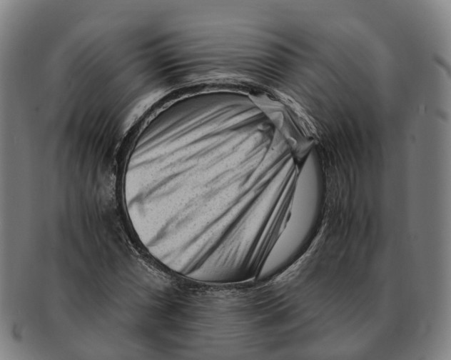 X0000091011066200708301352