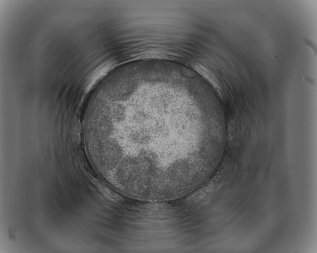 X0000091011067200708301352