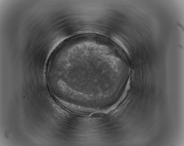 X0000091011068200708301352