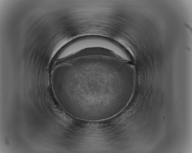 X0000091011069200708301352