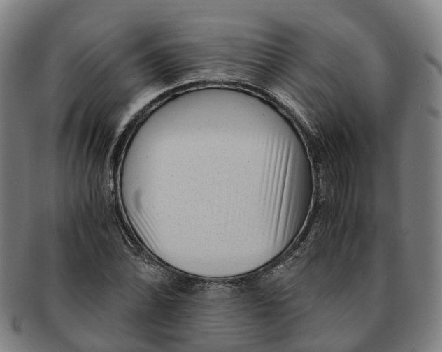 X0000091011070200708301352