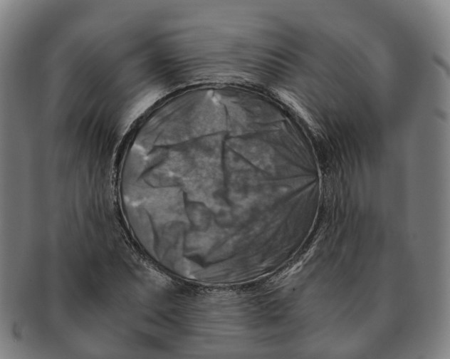 X0000091011071200708301352