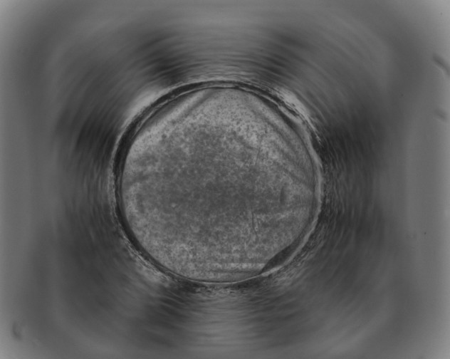 X0000091011072200708301352