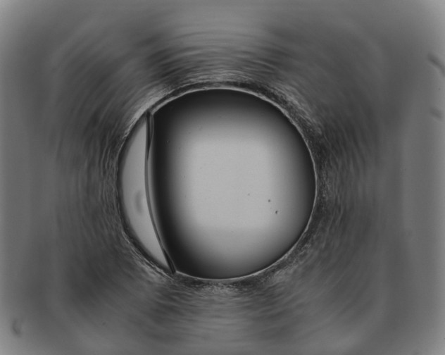 X0000091011073200708301352