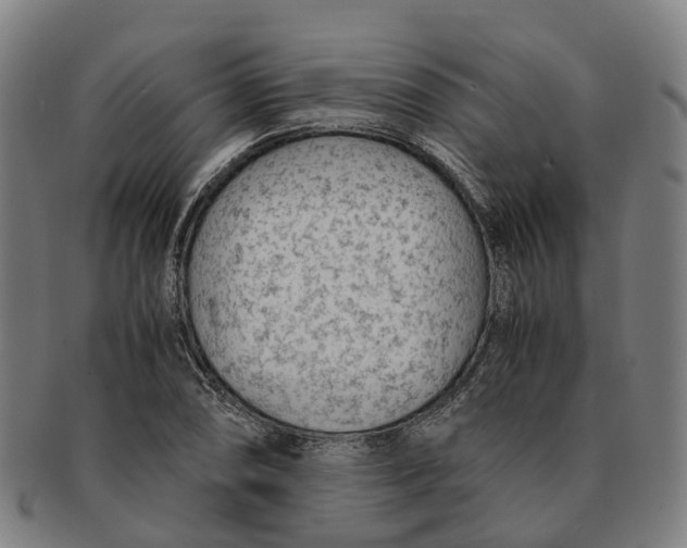 X0000091011074200708301352