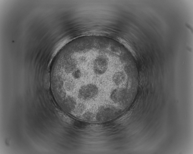 X0000091011075200708301352