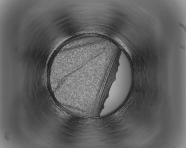 X0000091011076200708301352