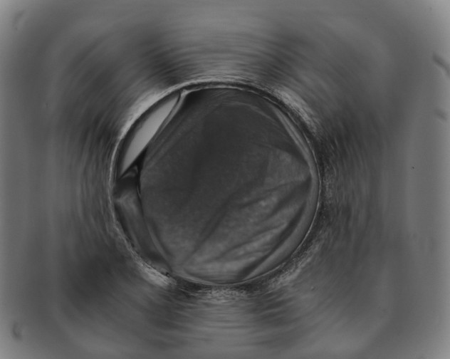 X0000091011077200708301352