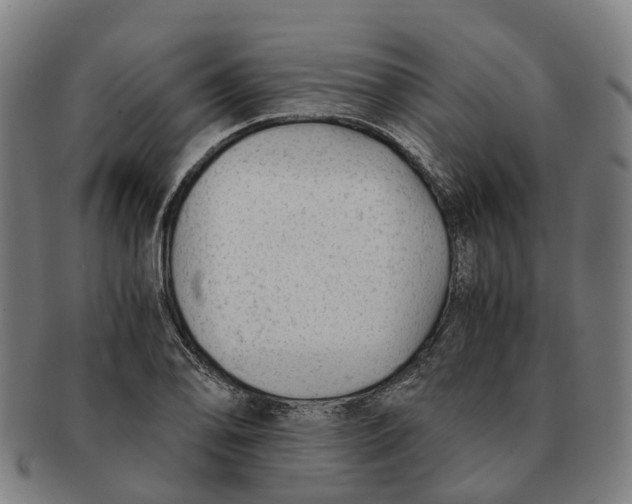 X0000091011078200708301352