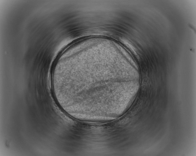 X0000091011080200708301352