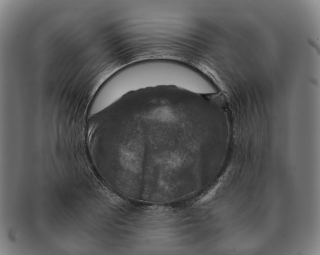 X0000091011081200708301352