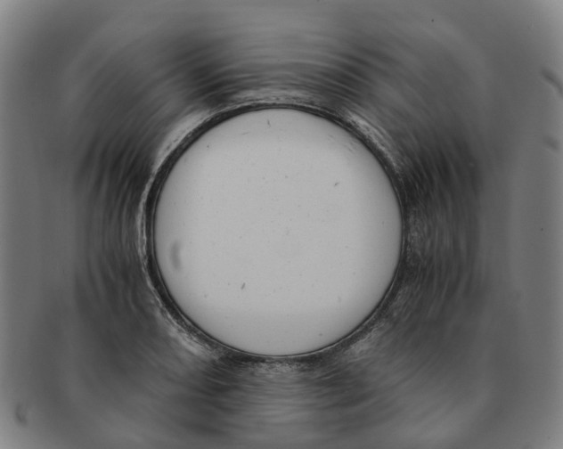 X0000091011082200708301352