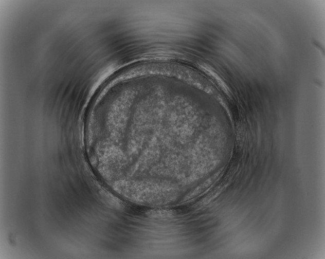 X0000091011083200708301352