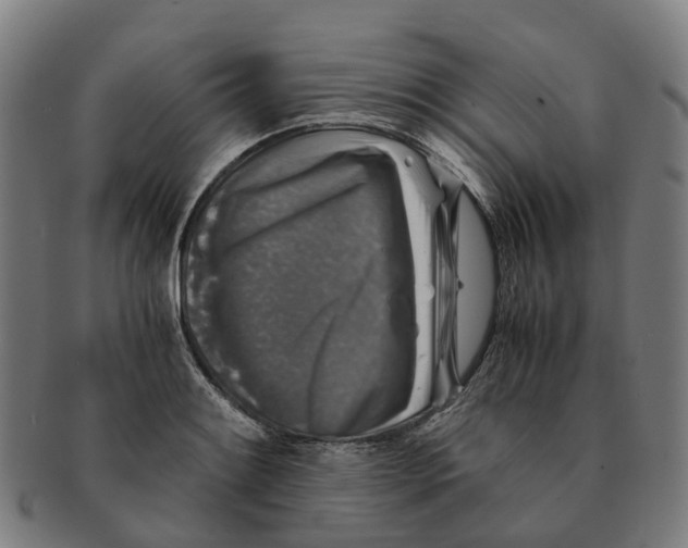 X0000091011084200708301352