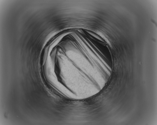 X0000091011085200708301352