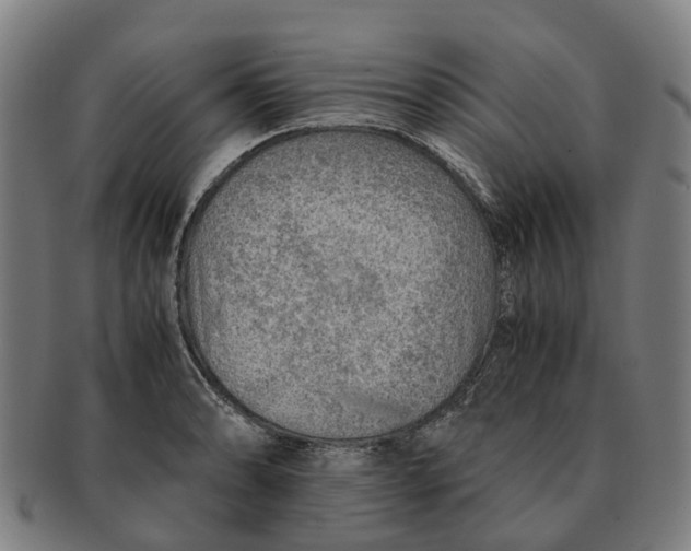 X0000091011086200708301352