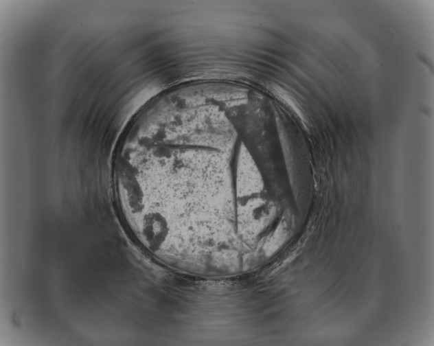 X0000091011087200708301352