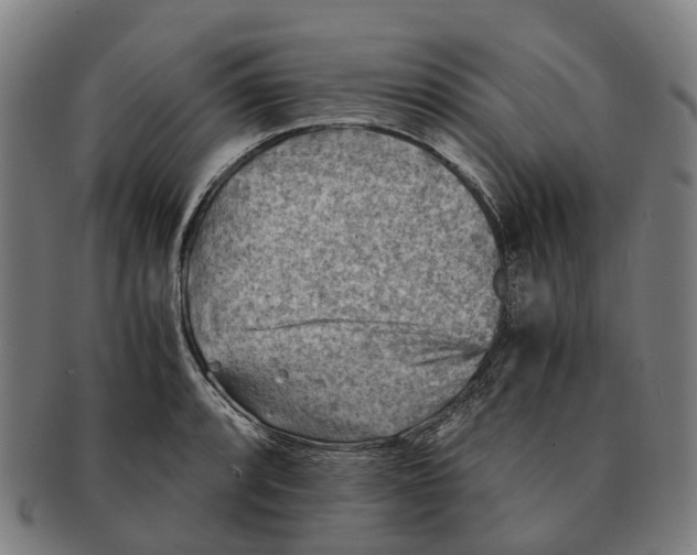 X0000091011088200708301352