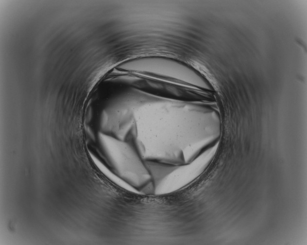 X0000091011089200708301352