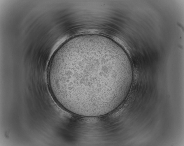 X0000091011090200708301352