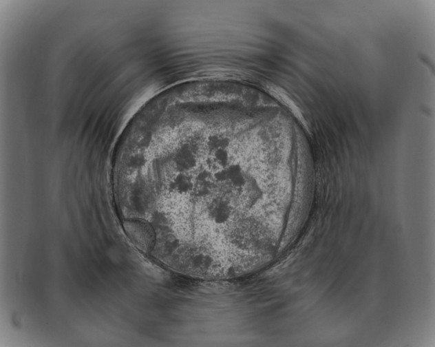 X0000091011091200708301352