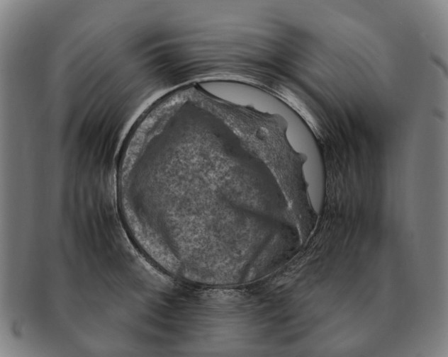 X0000091011092200708301352